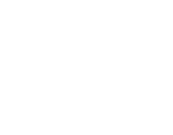 GSI Foundations Logo
